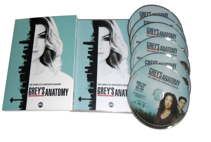 Grey's Anatomy Season 13 DVD Box Set